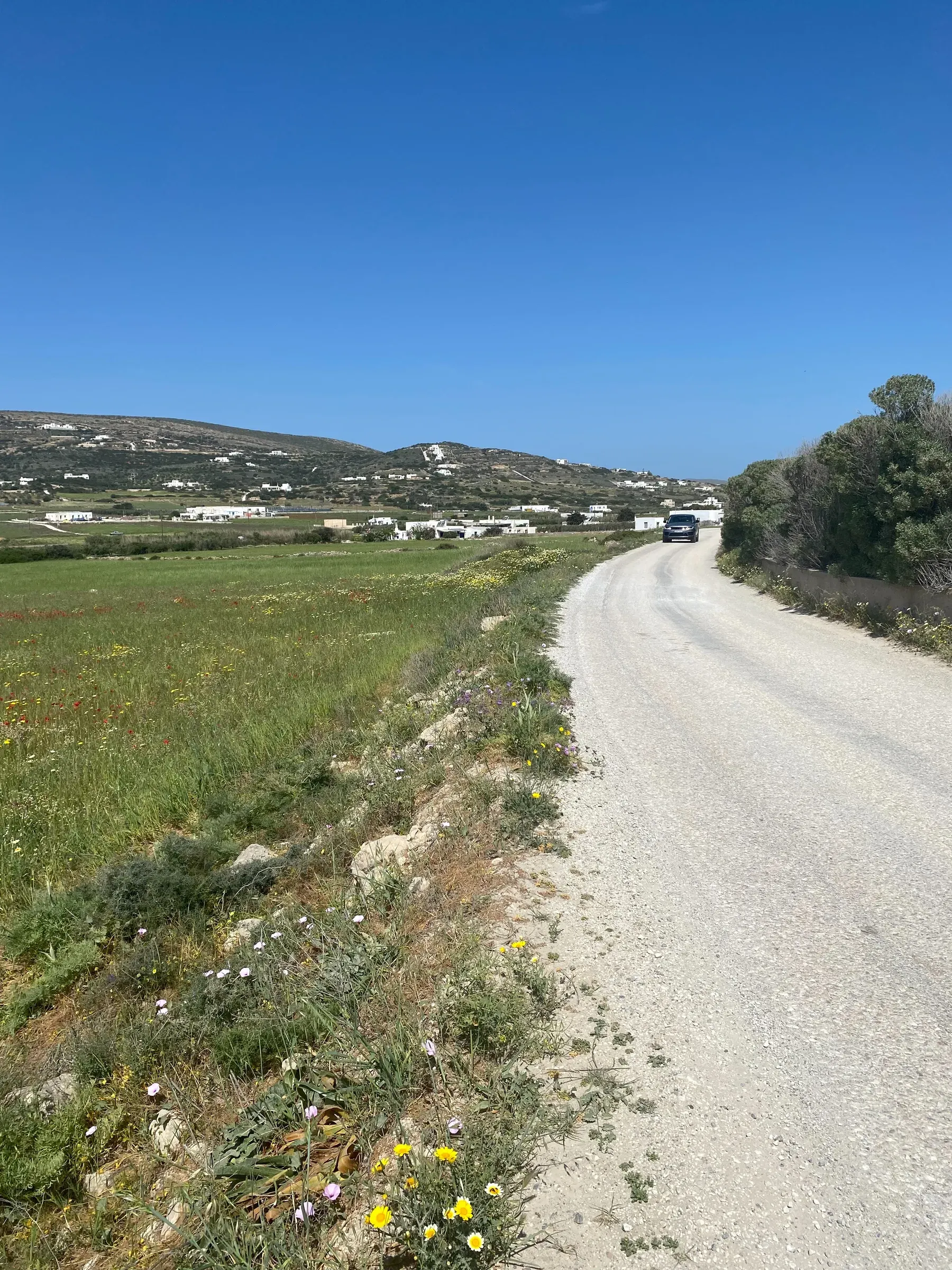 Isterni Land Holdings