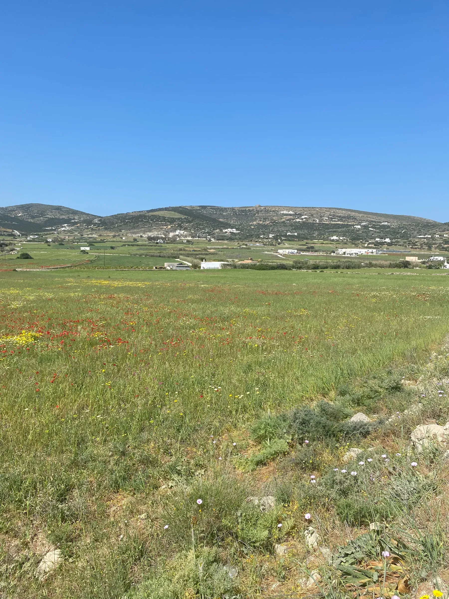 Isterni Land Holdings