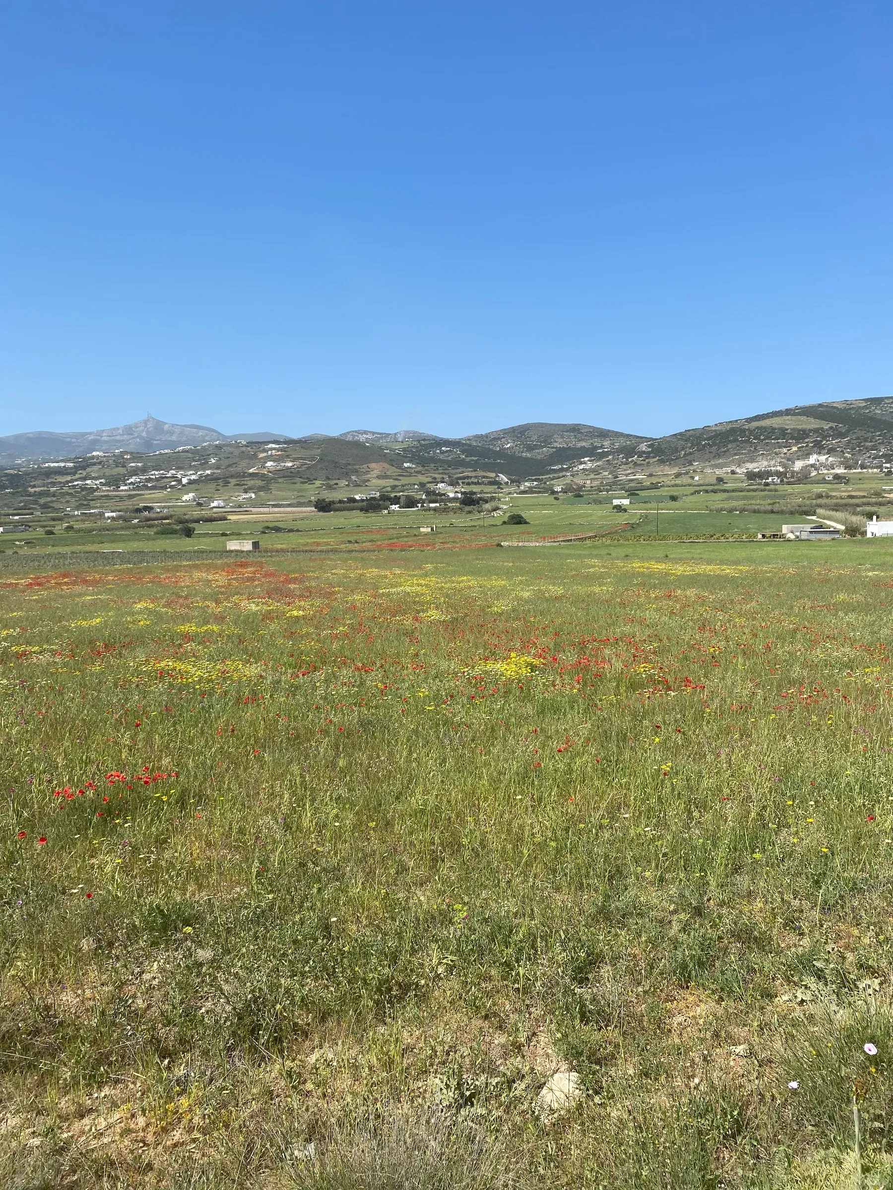 Isterni Land Holdings