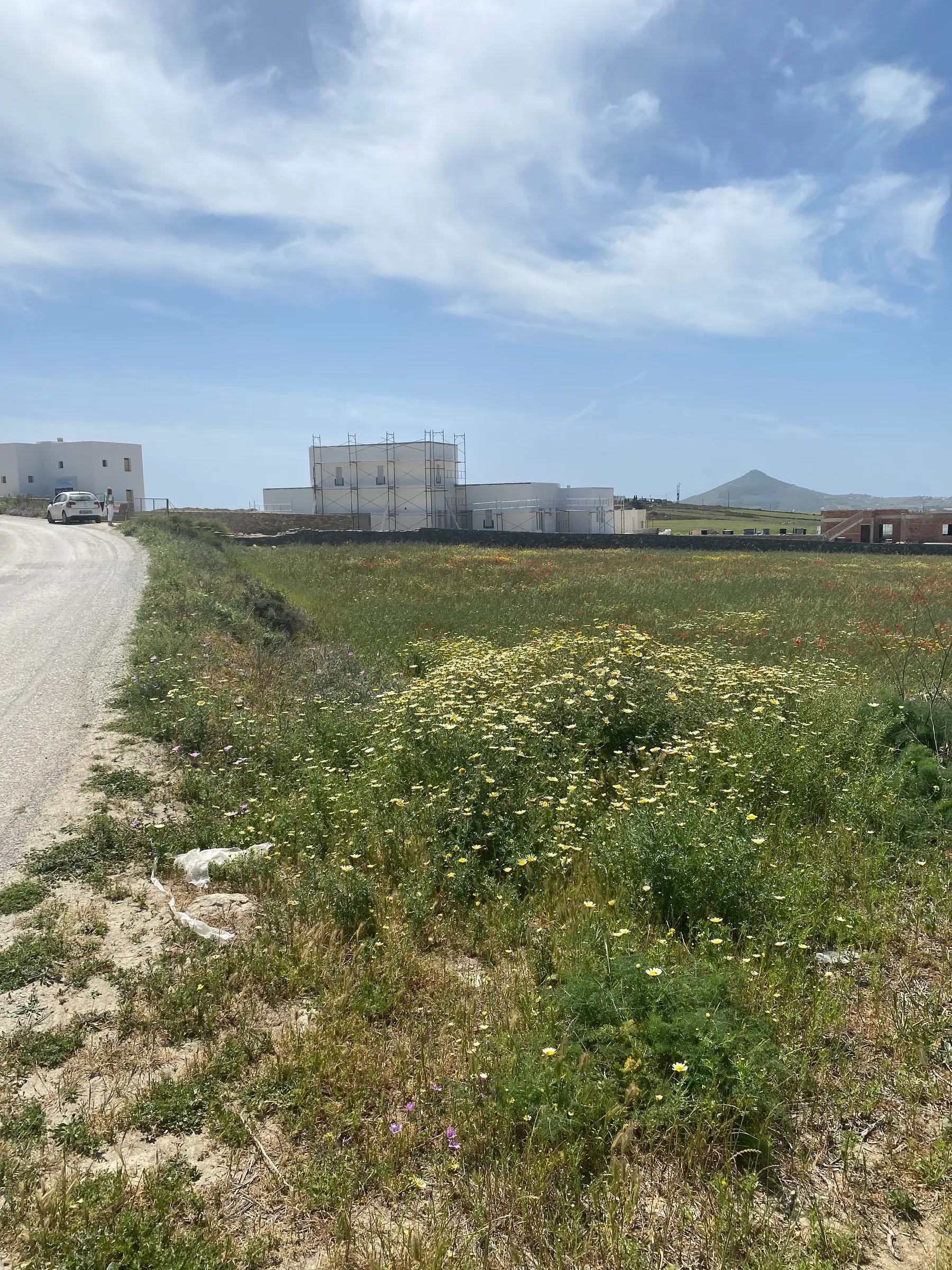 Isterni Land Holdings