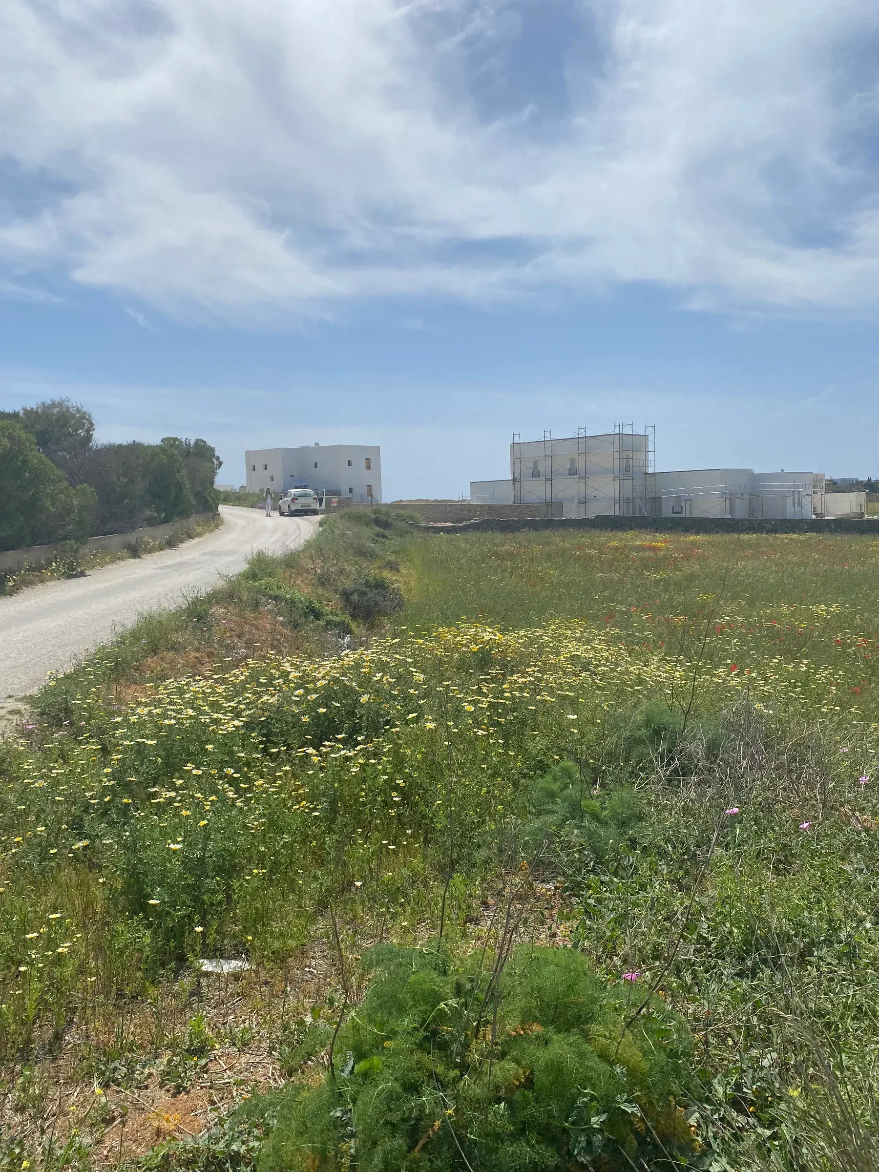 Isterni Land Holdings