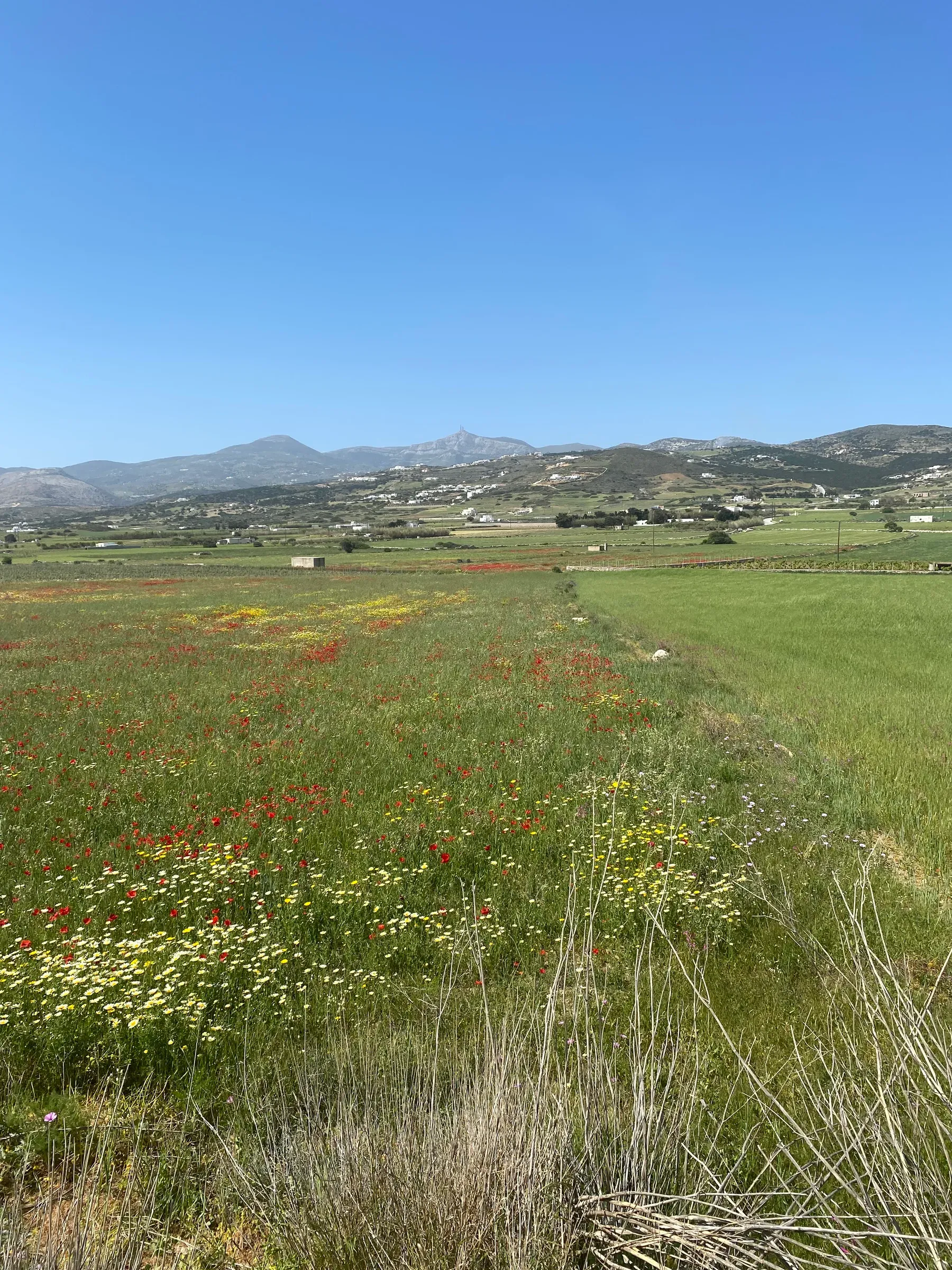 Isterni Land Holdings