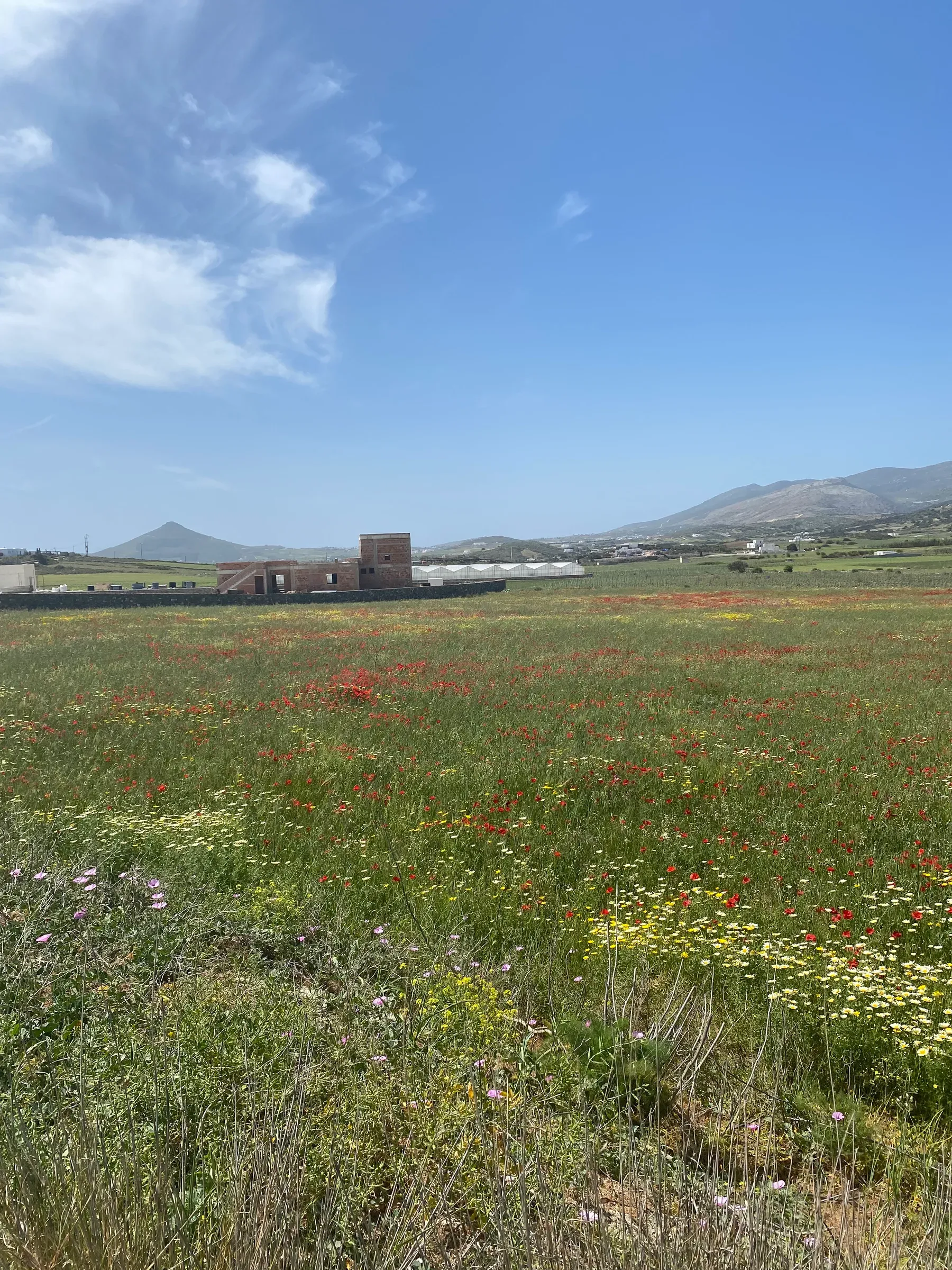 Isterni Land Holdings